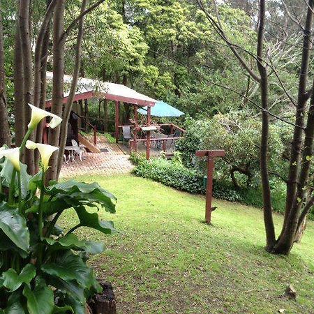 Stone'S Throw Cottage Bed And Breakfast ベルグレーブ エクステリア 写真