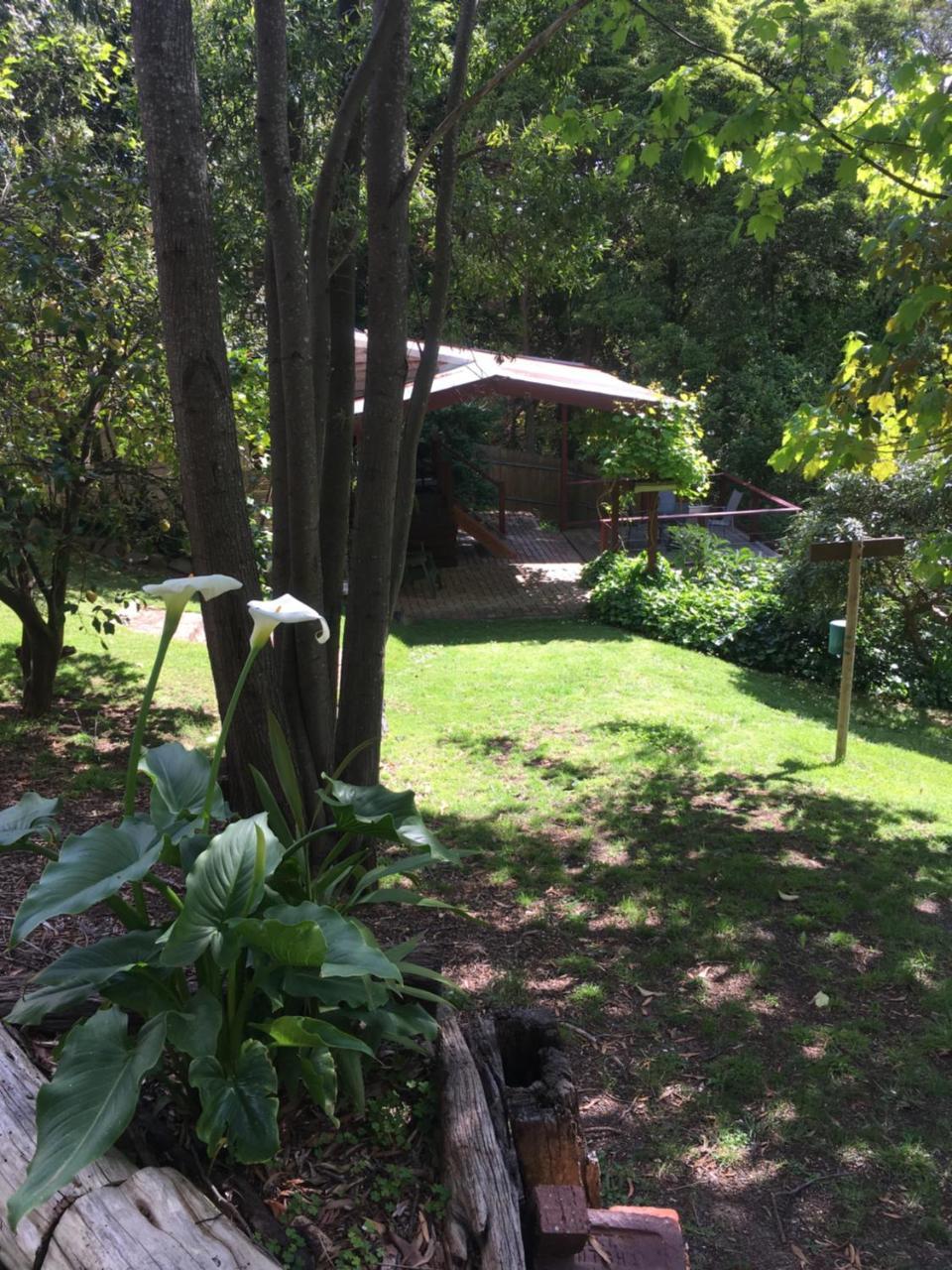 Stone'S Throw Cottage Bed And Breakfast ベルグレーブ エクステリア 写真
